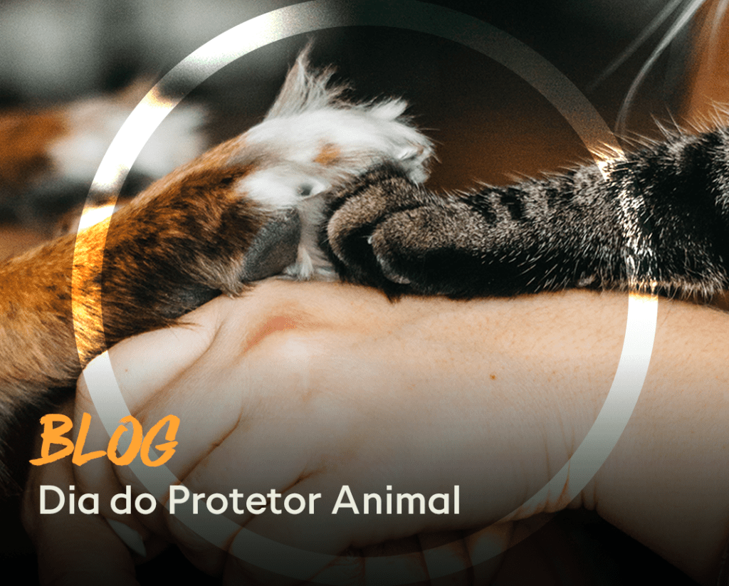 Blog - Dia do protetor animal