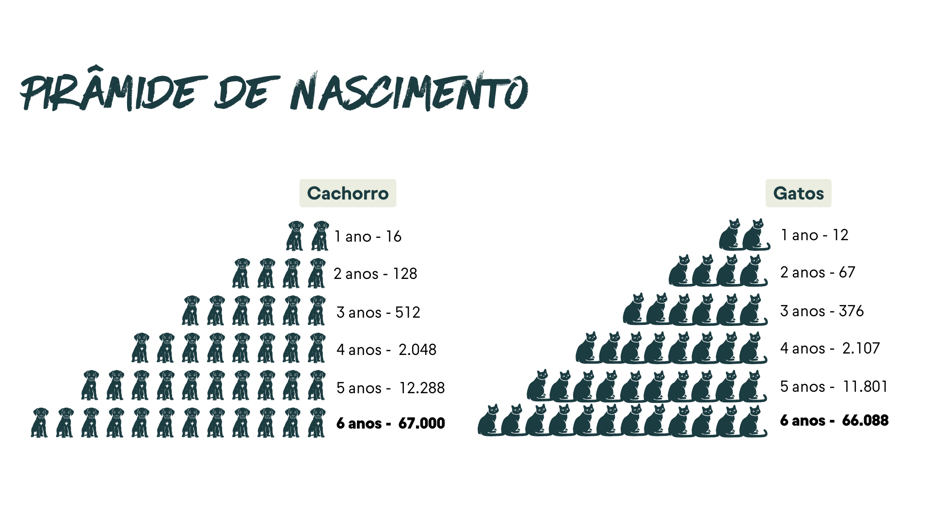 Pirâmide de Nascimento