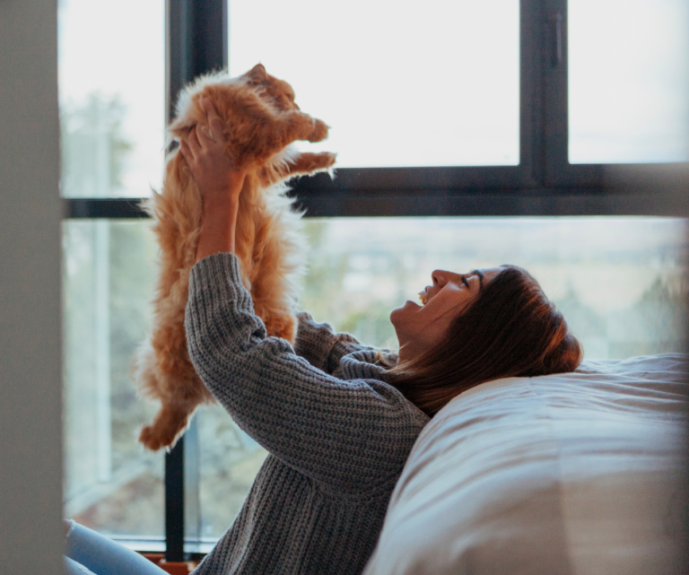 A importância do lar temporário para cães e gatos 3