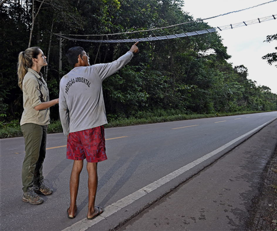 Proteção Ambiental