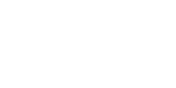 Carrefour Logo