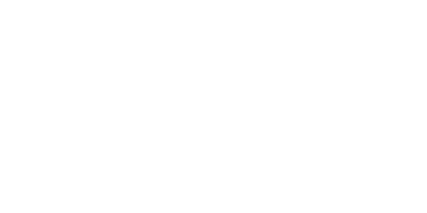 Visa Logo