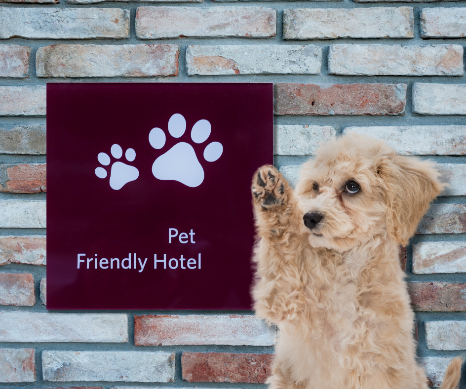 Pet Friendly Hotel