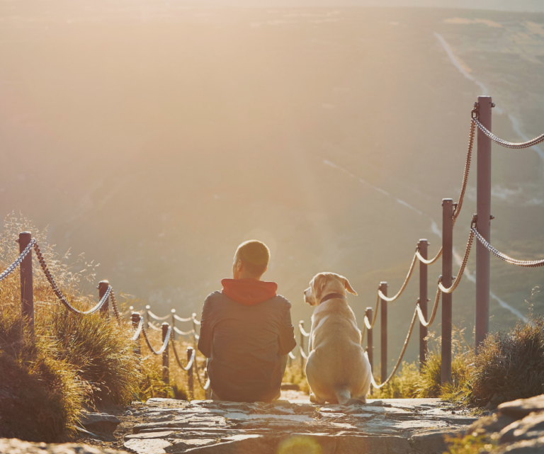 Destinos pet-friendly para viajar nas férias 4