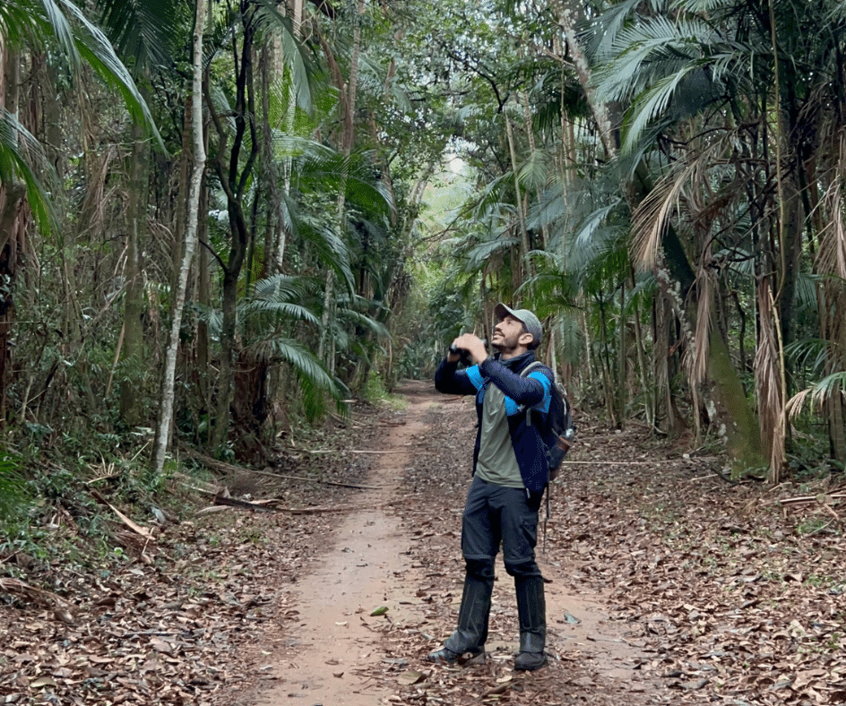 Voluntário