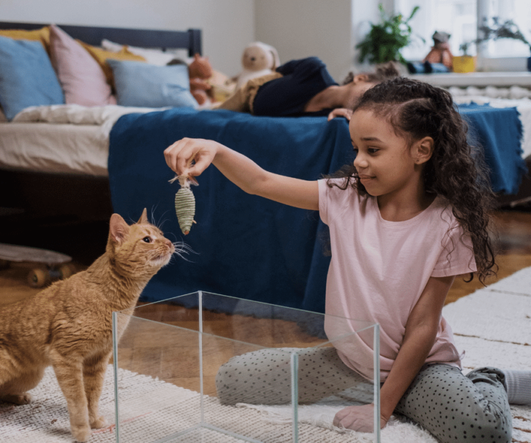 Dia das Crianças: é errado dar um animal de presente? 3