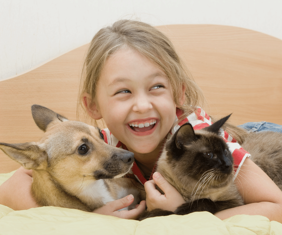 Cachorro, gato e criança