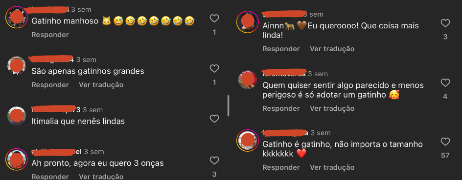 Comentários no Instagram