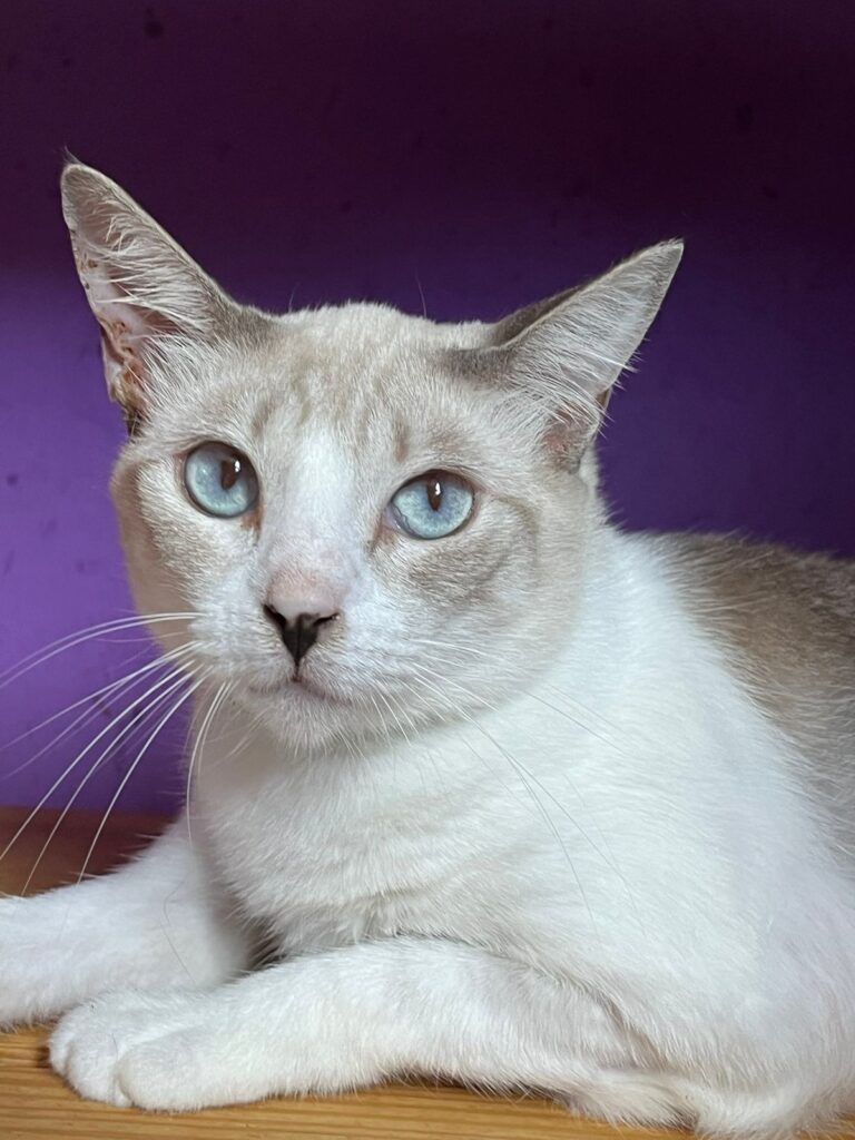 Clarita