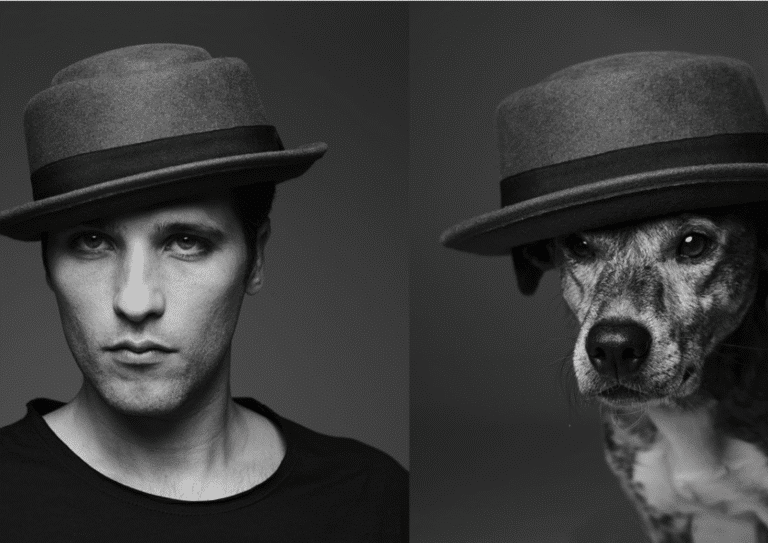 Dia do Vira-Lata reacende debate sobre abandono animal 5