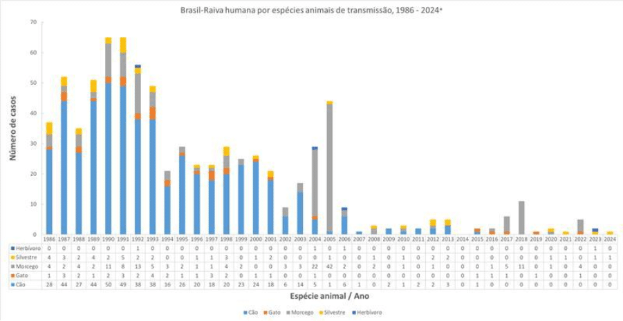 Gráficos 2