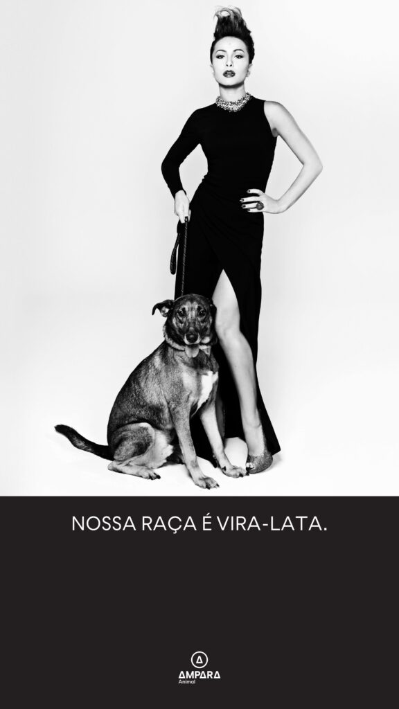 nossa raça é vira-lata