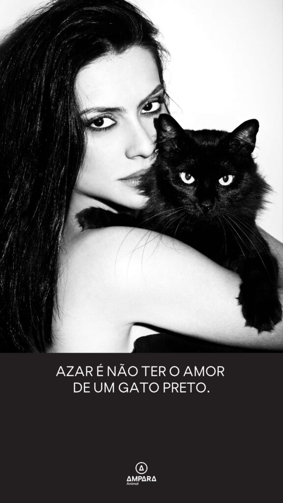 azar é não ter o amor de um gato preto
