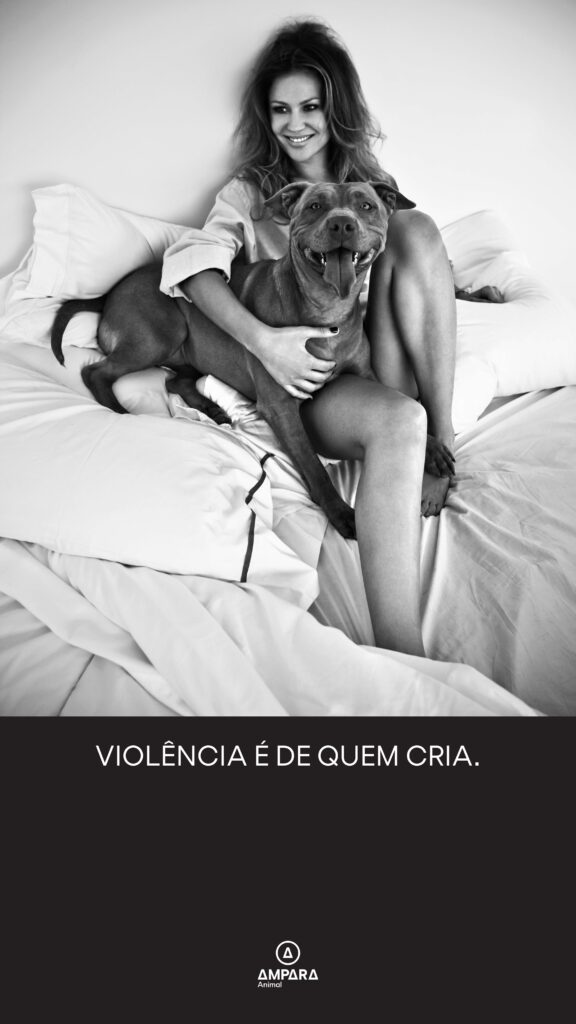 Violência é de quem cria