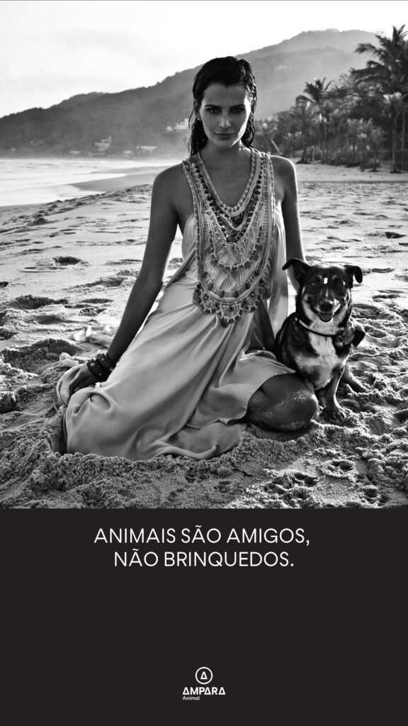 animais são amigos, não brinquedos