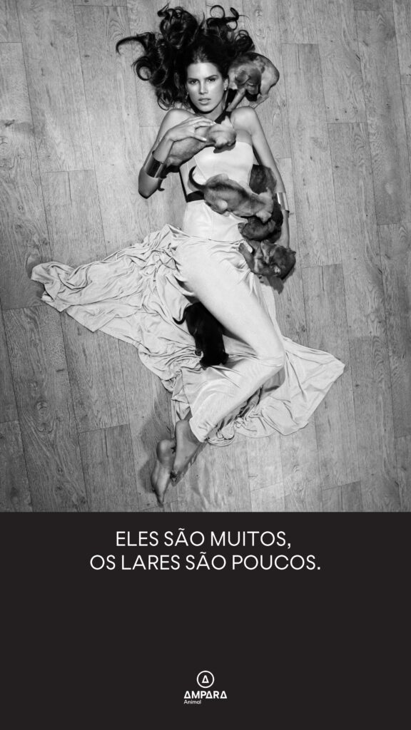 eles são muitos, os lares são poucos