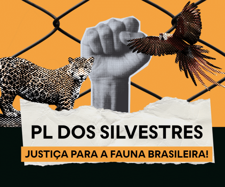 PL DOS SILVESTRES