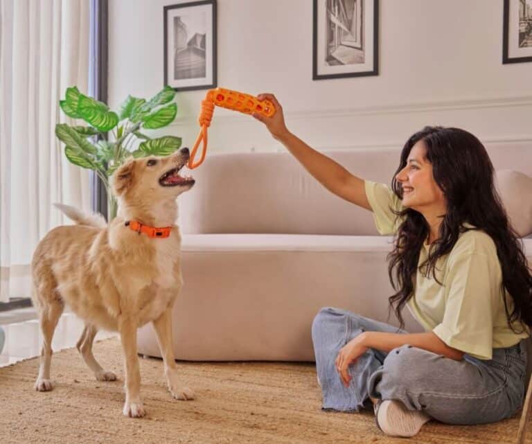 Dona brincando com seu cachorro