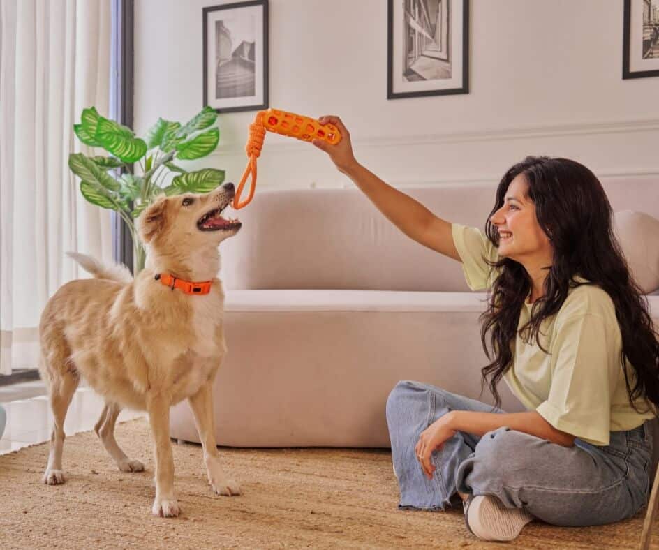 Dona brincando com seu cachorro