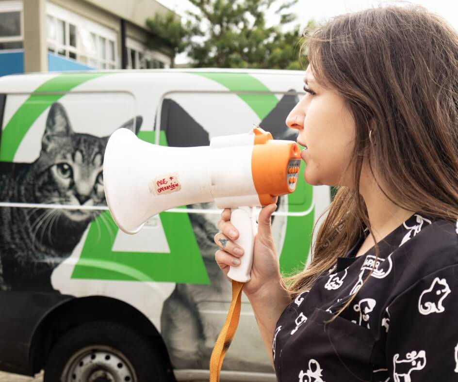Edital de Recrutamento: Estágio AMPARA Cães e Gatos