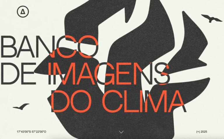 Banco de imagens do Clima_Instituto Ampara Animal