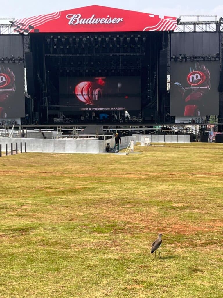 o que o Lollapalooza 2026 nos ensina 2