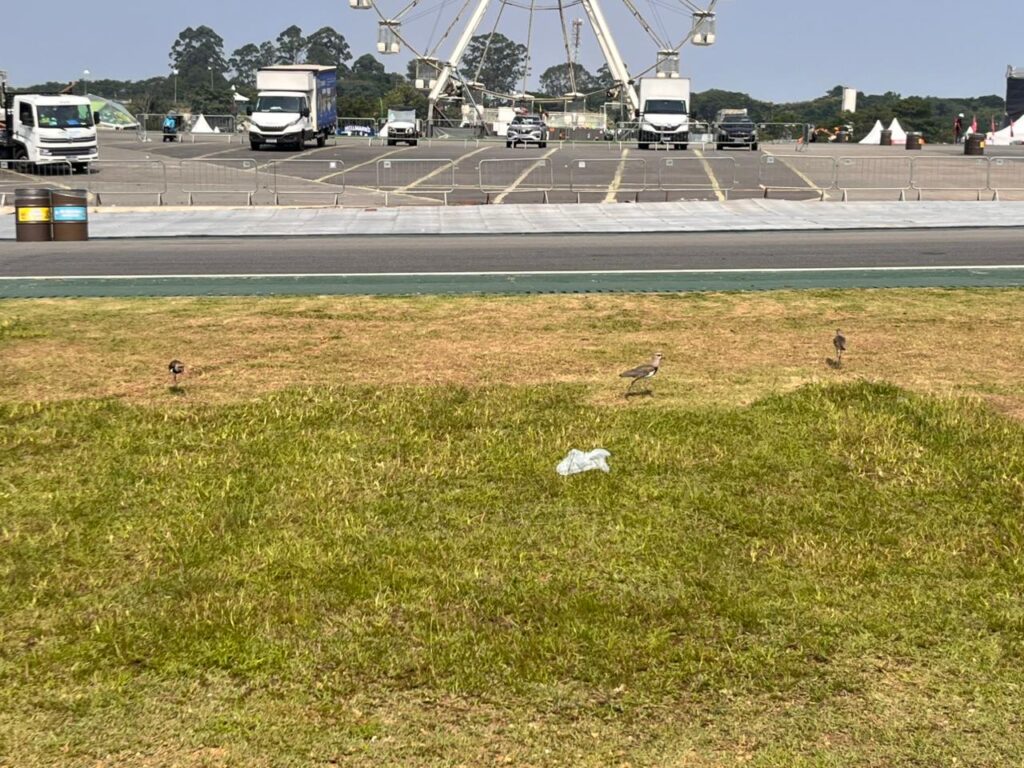 o que o Lollapalooza 2026 nos ensina 3