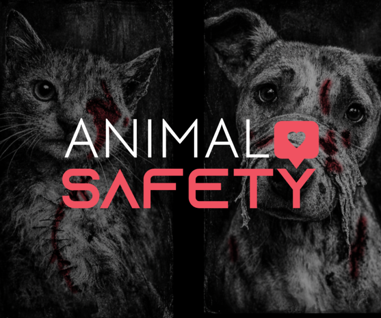 Animal Safety