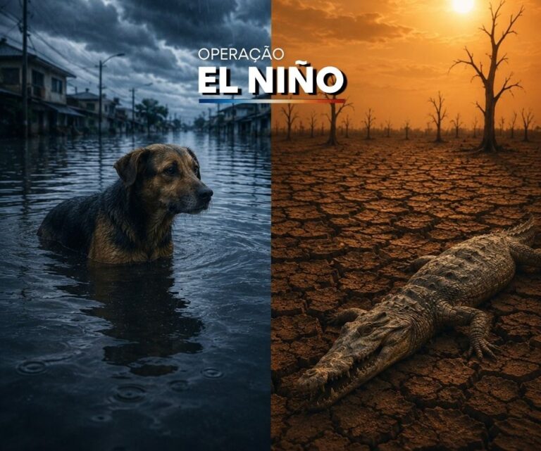 Operação El Niño Ampara Animal