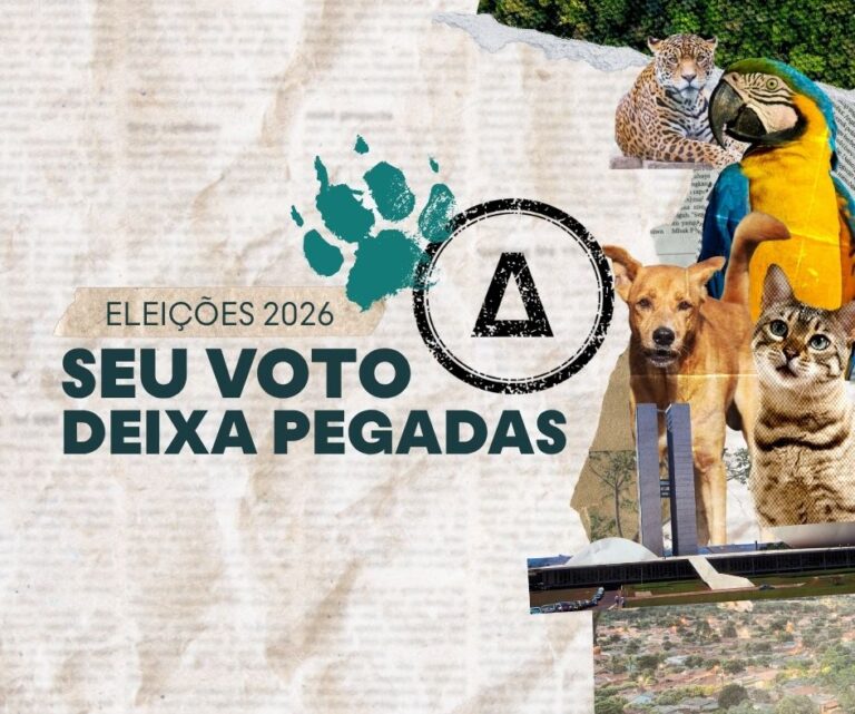 Seu_voto_deixa_pegadas
