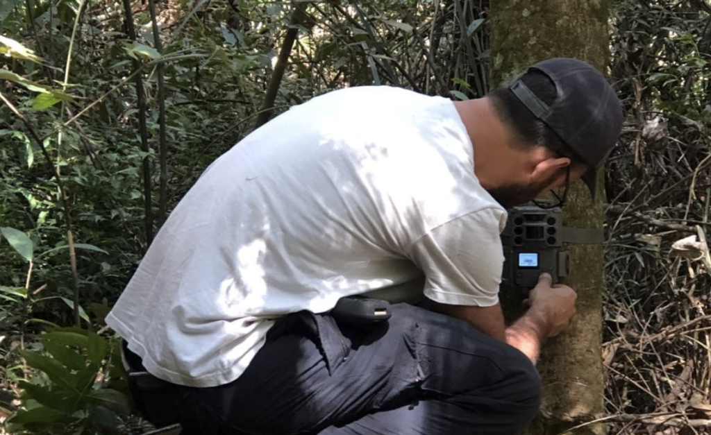 Monitoramento de fauna em áreas protegidas, São Paulo, SP
Luccas Longo