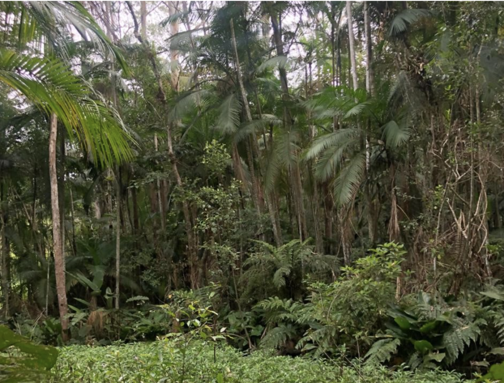 Parque Natural Municipal Itaim, Parelheiros, São Paulo, SP
Luccas Longo