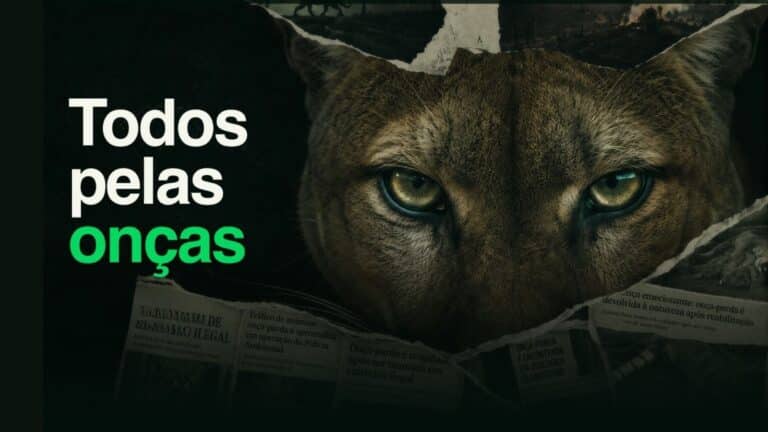 Todos Pelas onças 2026