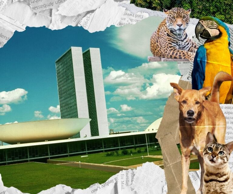novo congresso nacional